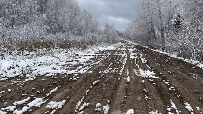    Татьяна Козик