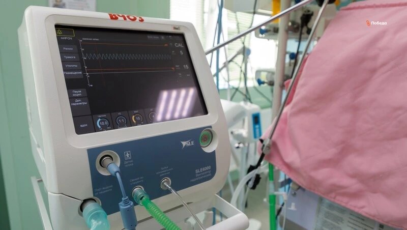      Фото: ИА «Победа26»