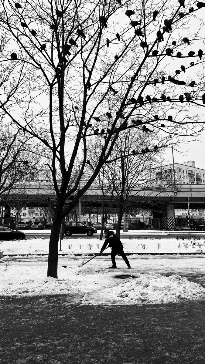 Фотограф Vasily Kleymenov  https://www.pexels.com/ru-ru/photo/11795925/