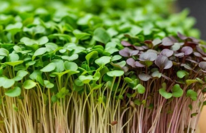 Иллюстрация: сгенерировано нейросетью