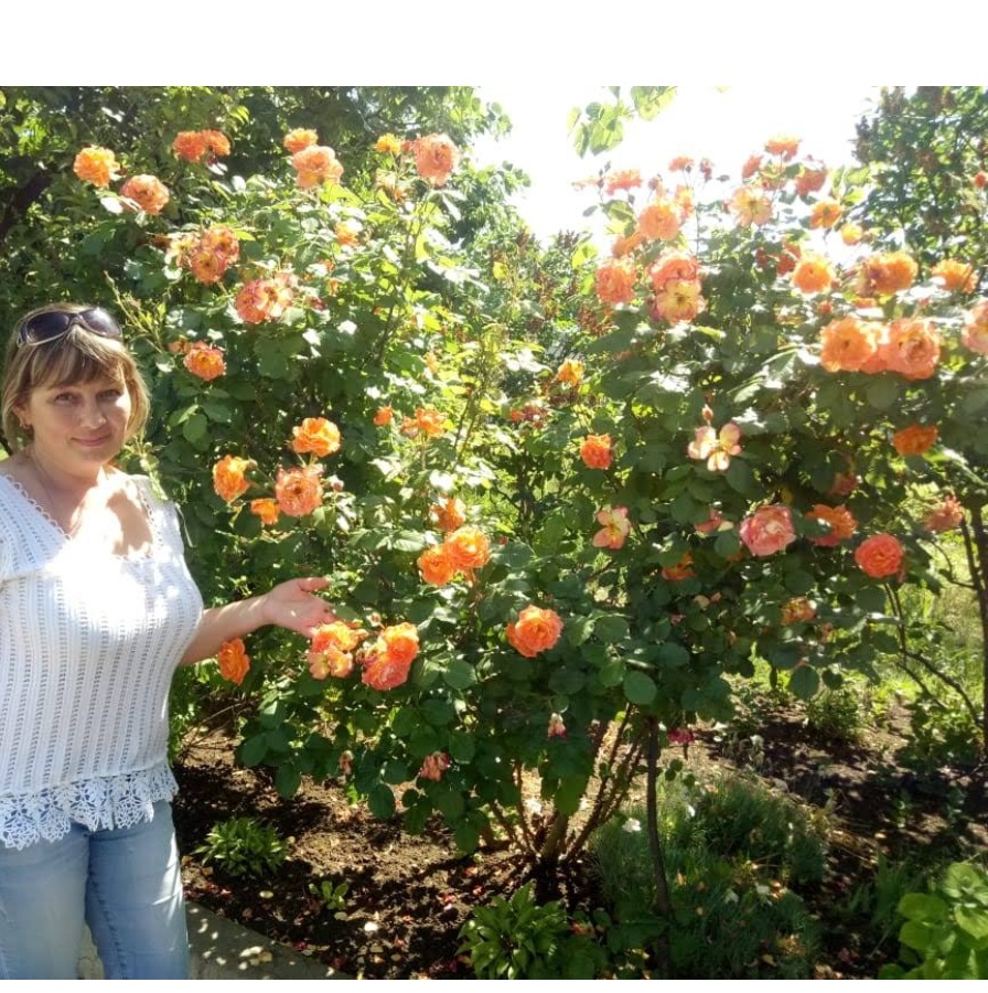 В далёкой, далёкой галактике