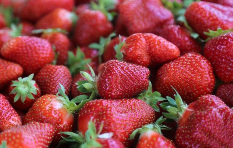    Фото: wiki commons/flowcomm/CC BY 2.0 Дарья Дейвальд