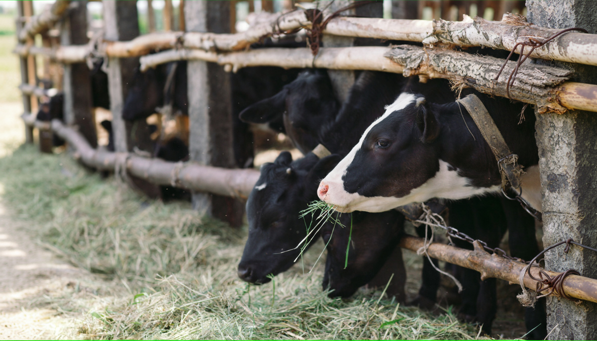 Фото: davit85 / Freepik.com