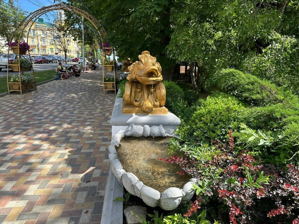    Фото: СвоёТВ Сергей Иванов