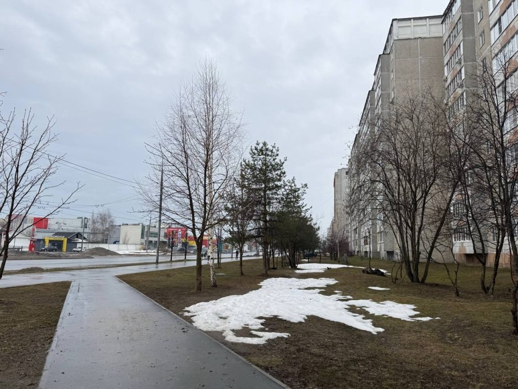    Фото: Яна Пивцайкина
