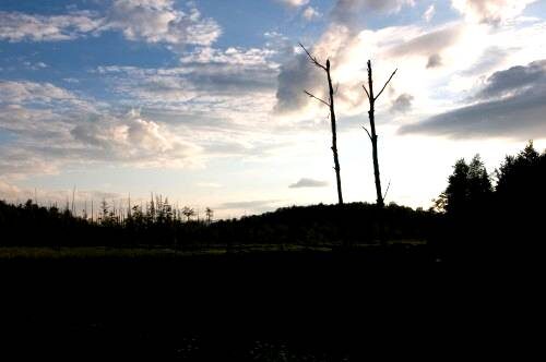 Изображение, которое было взято за оригинал