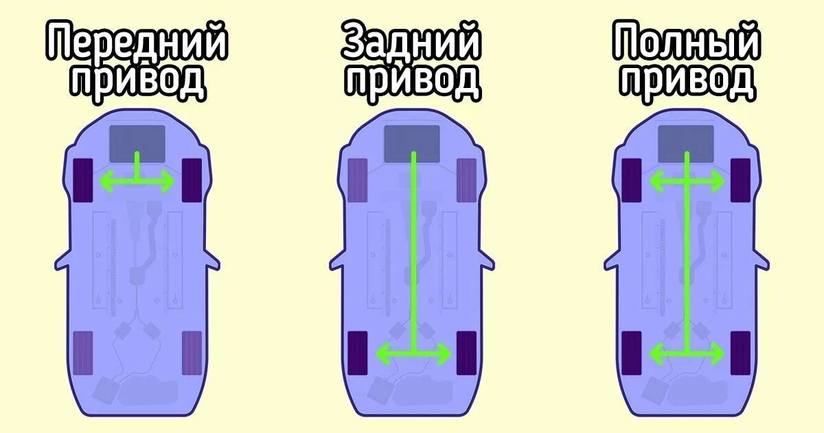 Фото из открытых источников 