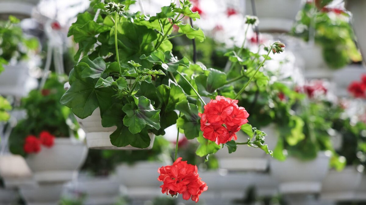    Фото: vk.com/petrichenkosn