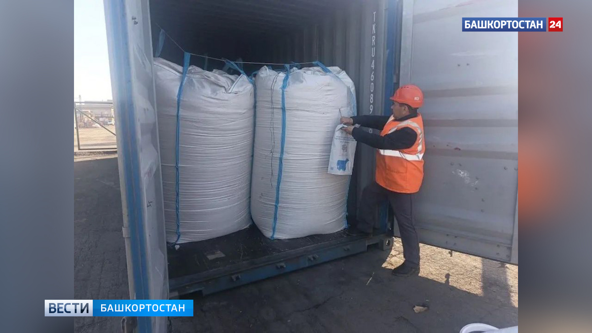    Башкортостан впервые экспортировал в Китай более тысячи тонн продовольственного овса