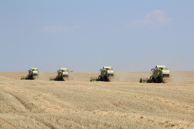    Фото из архива "РВ" Василий Шеин