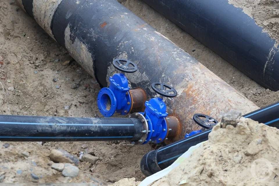    Фото: Дмитрий Рогулин / "Городские вести"