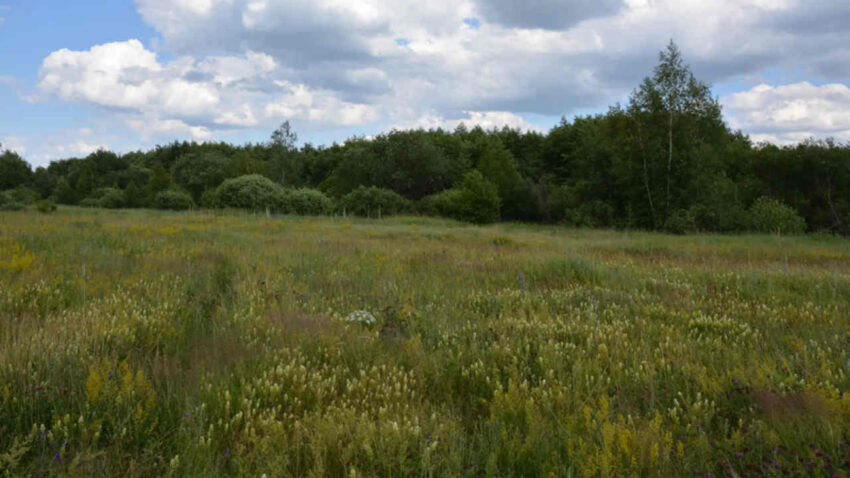    Минприроды Воронежской области.