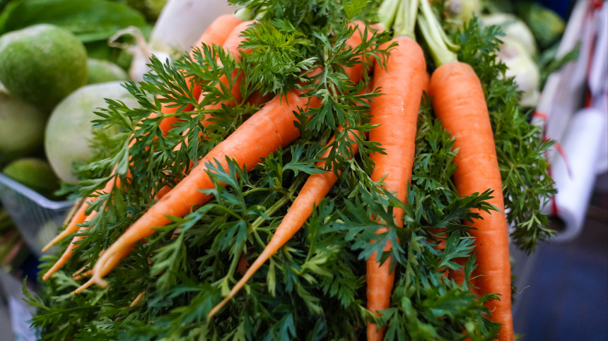    Фото: ИЗВЕСТИЯ/Анна Селина