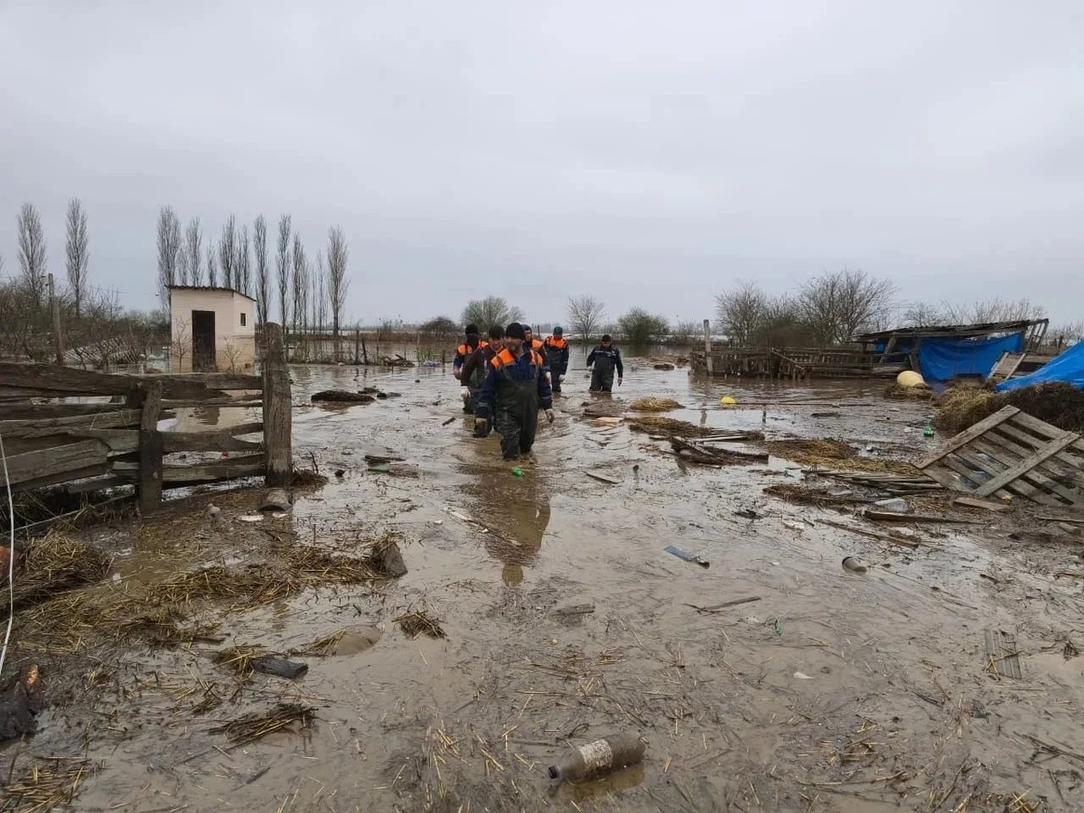     Фото: ГУ МЧС России по Республике Дагестан