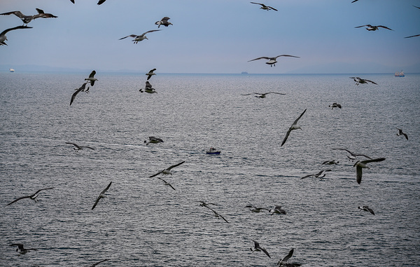 Юрий Смитюк/ТАСС