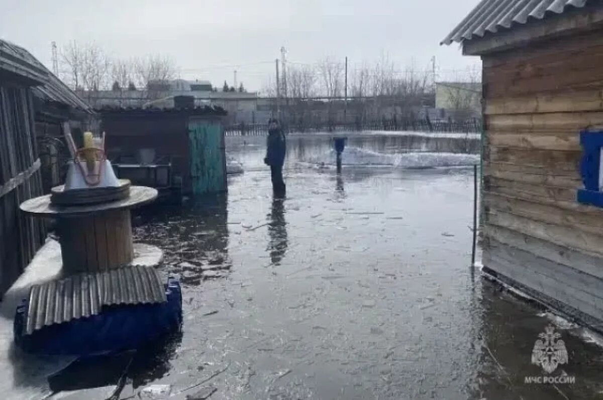    В Боготоле из-за активного таяния снега подтопило жилой дом