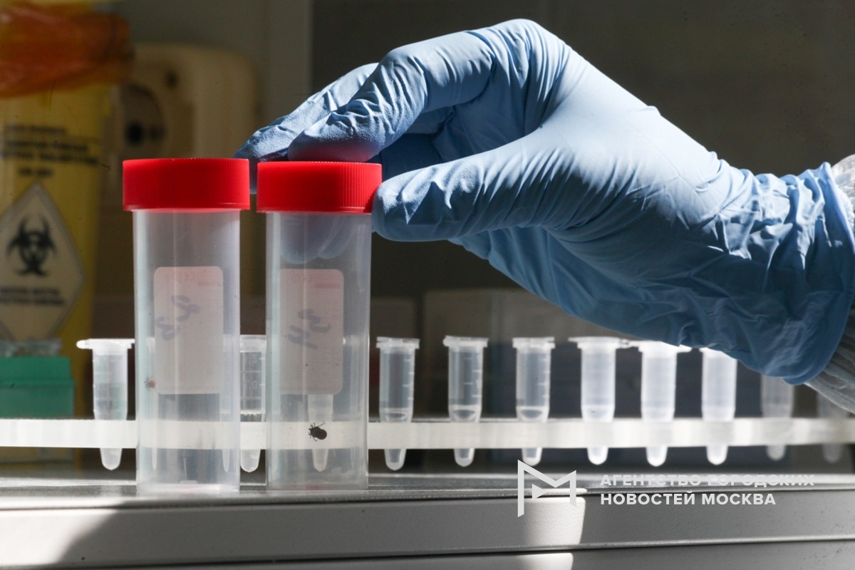 Фотограф: Сергей Ведяшкин