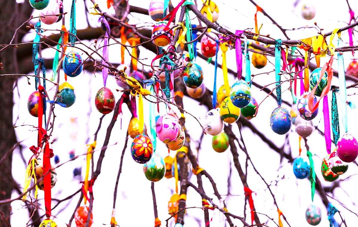 Фото из открытых источников