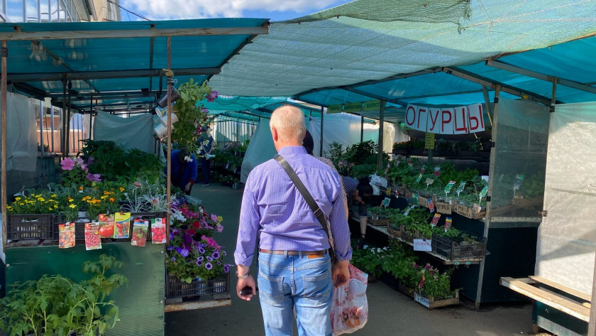    Фото progorod43.ru