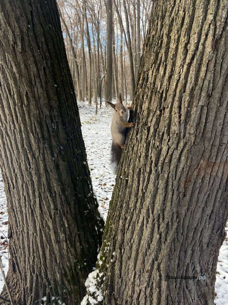     Ялларда һава торышы нинди булачак?