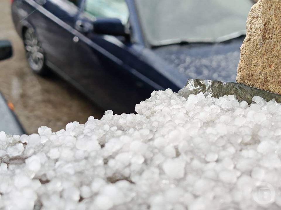    Фото: "Городские вести"