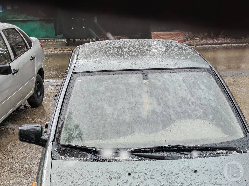    Фото: "Городские вести"