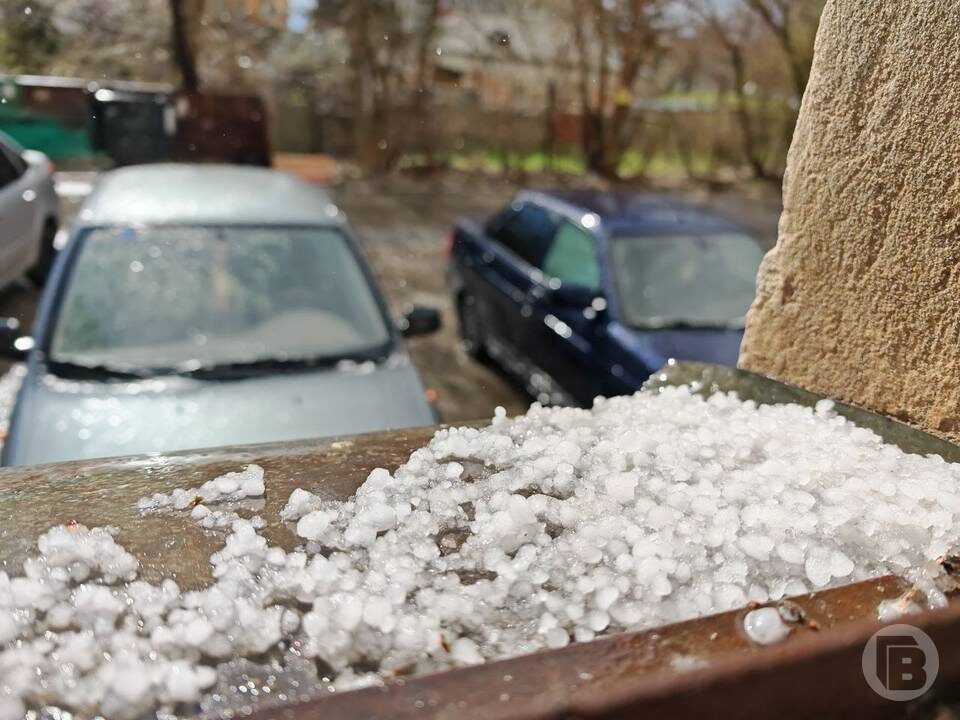    Фото: "Городские вести"