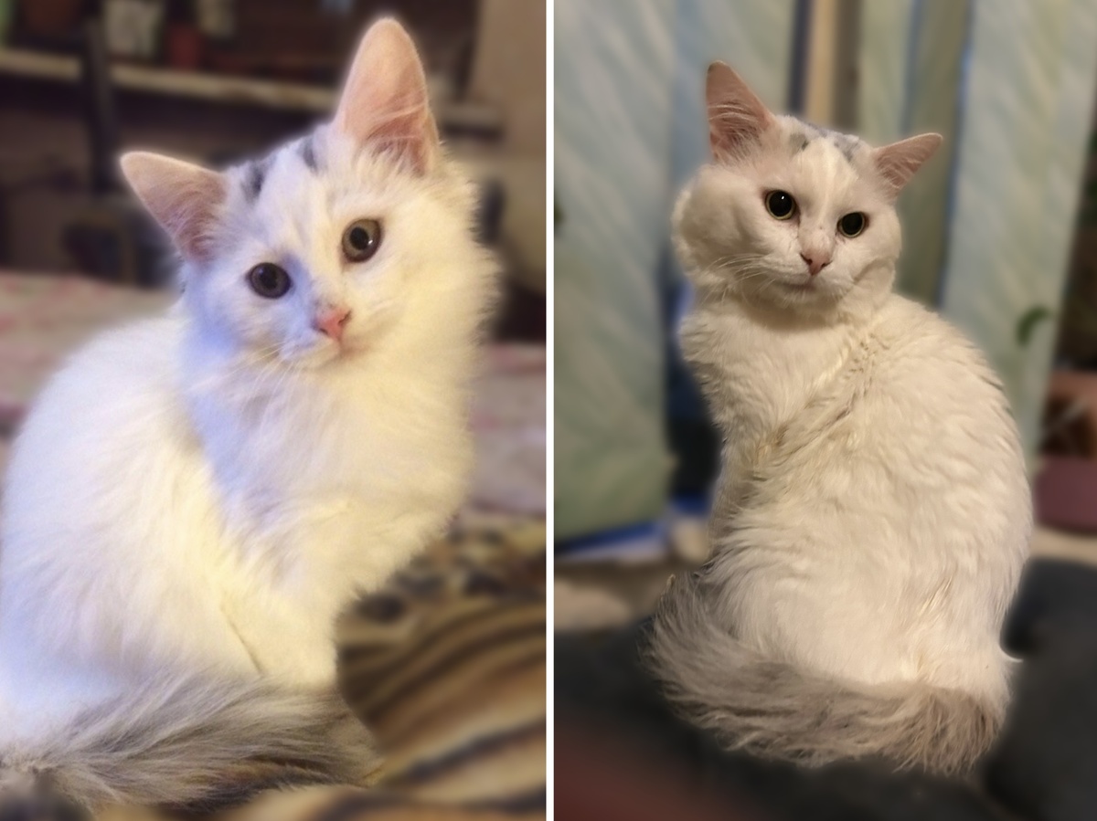 Разница между фото 11 лет