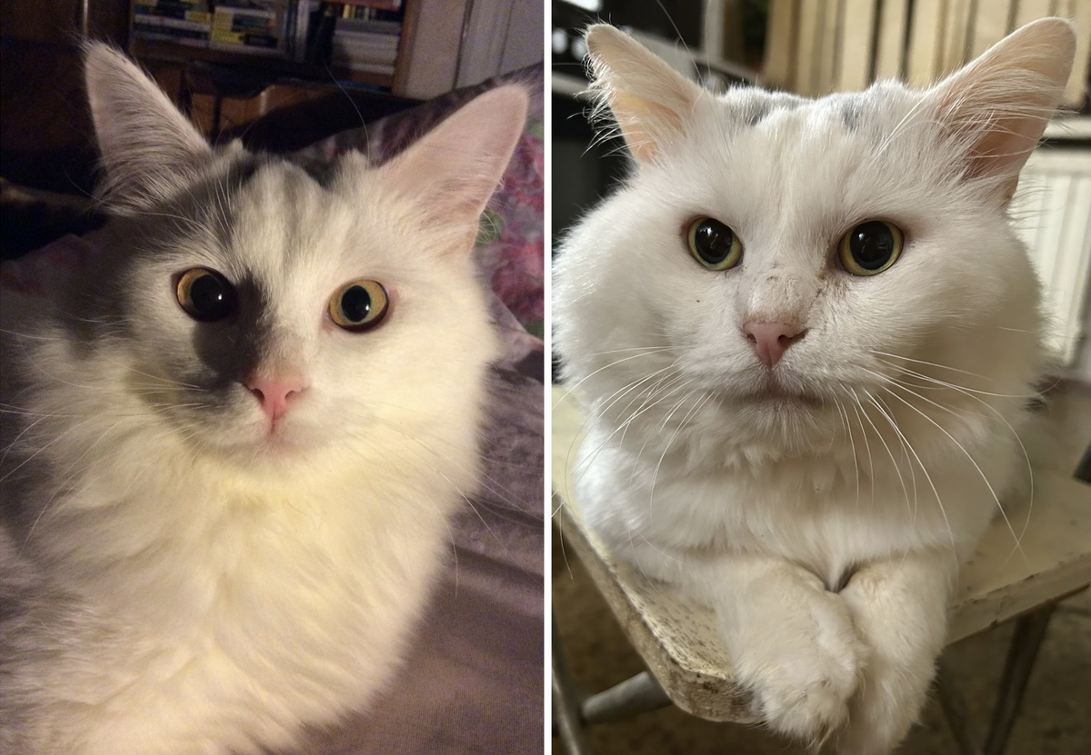 Разница между фото 11 лет