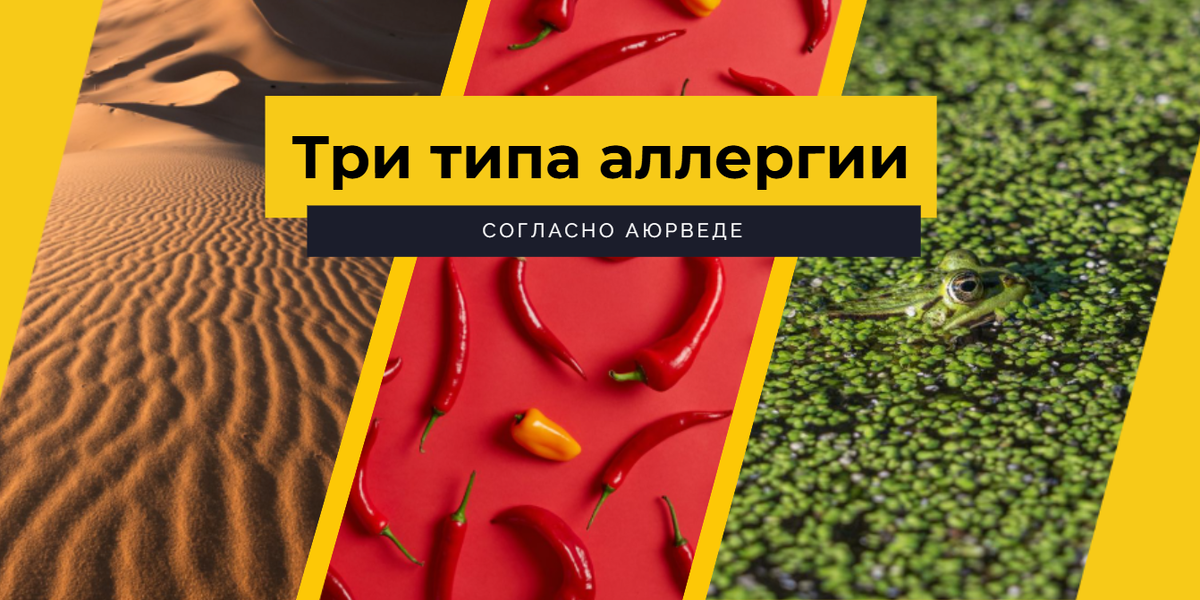 В трактате Сушрута Самхита описано пять типов Пратишьяи в зависимости от доминирующей доши: Ватаджа, Питтаджа, Капхаджа, Рактаджа и Саннипатаджа (смешанный) . Как именно «разваливается» защита, зависит от того, какая доша вышла из равновесия: рассмотрим три вида аллергии - сухой (вата тип), воспалительный (питта тип), мокрый (капха тип).