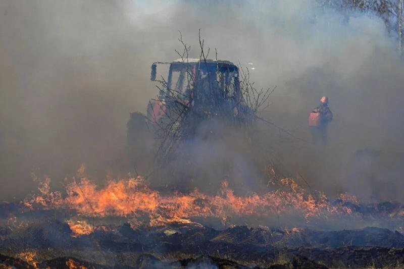 Виновники лесных пожаров заплатят до 2 миллионов рублей в Челябинске