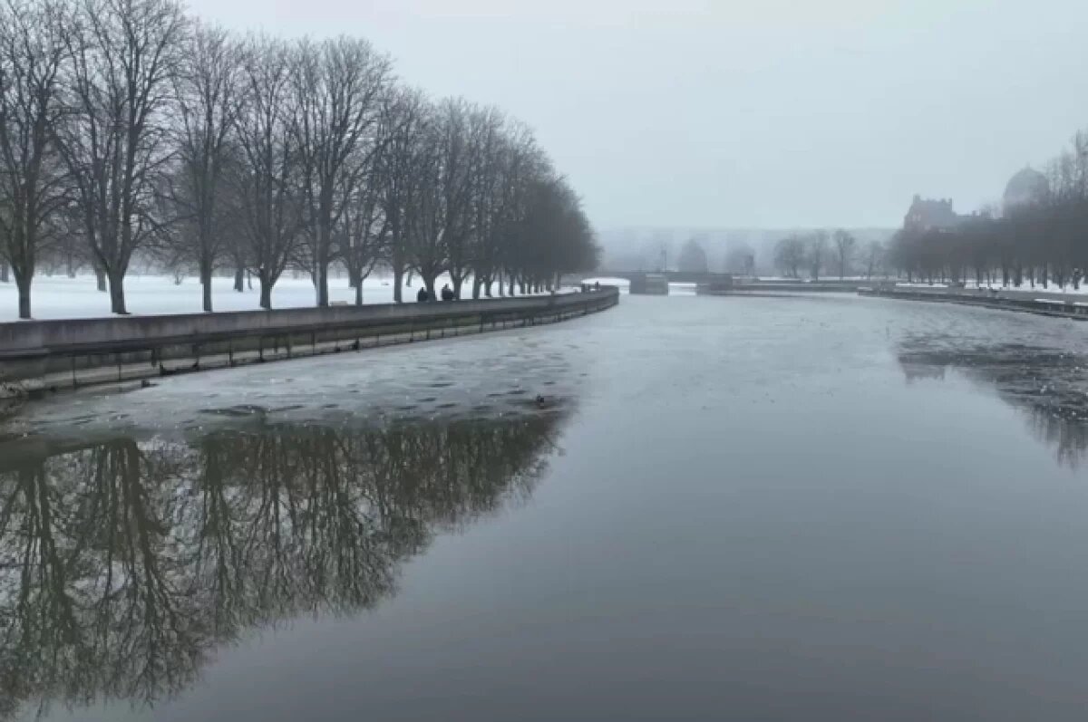    Суд обязал восстановить берег реки Преголя в Гурьевском районе