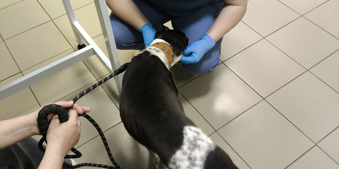 Промежуточные итоги недели.