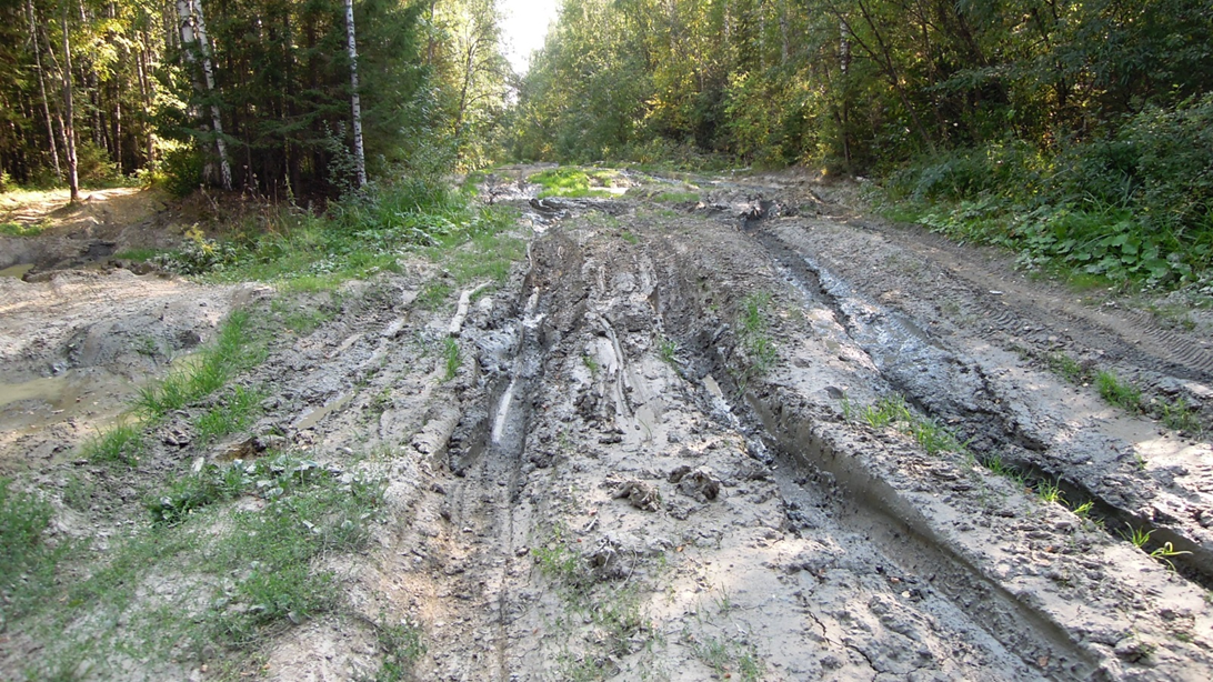 Дорога на источник Святой Платониды в жаркую и сухую погоду