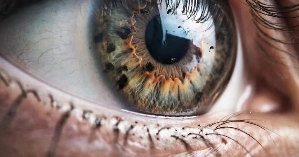 Проблема с глазами, а причина оказалась спрятана в шее и… печени