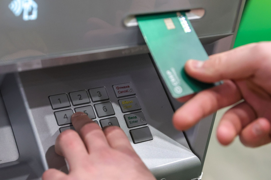    Наталья Шатохина/NEWS.ru