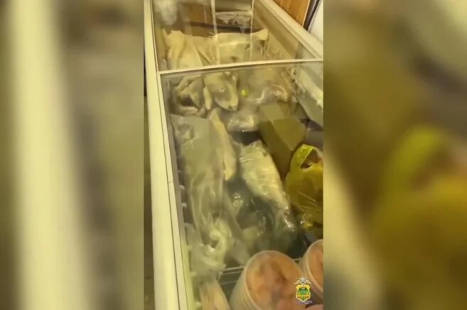    Скриншот видео: t.me/mvd_23