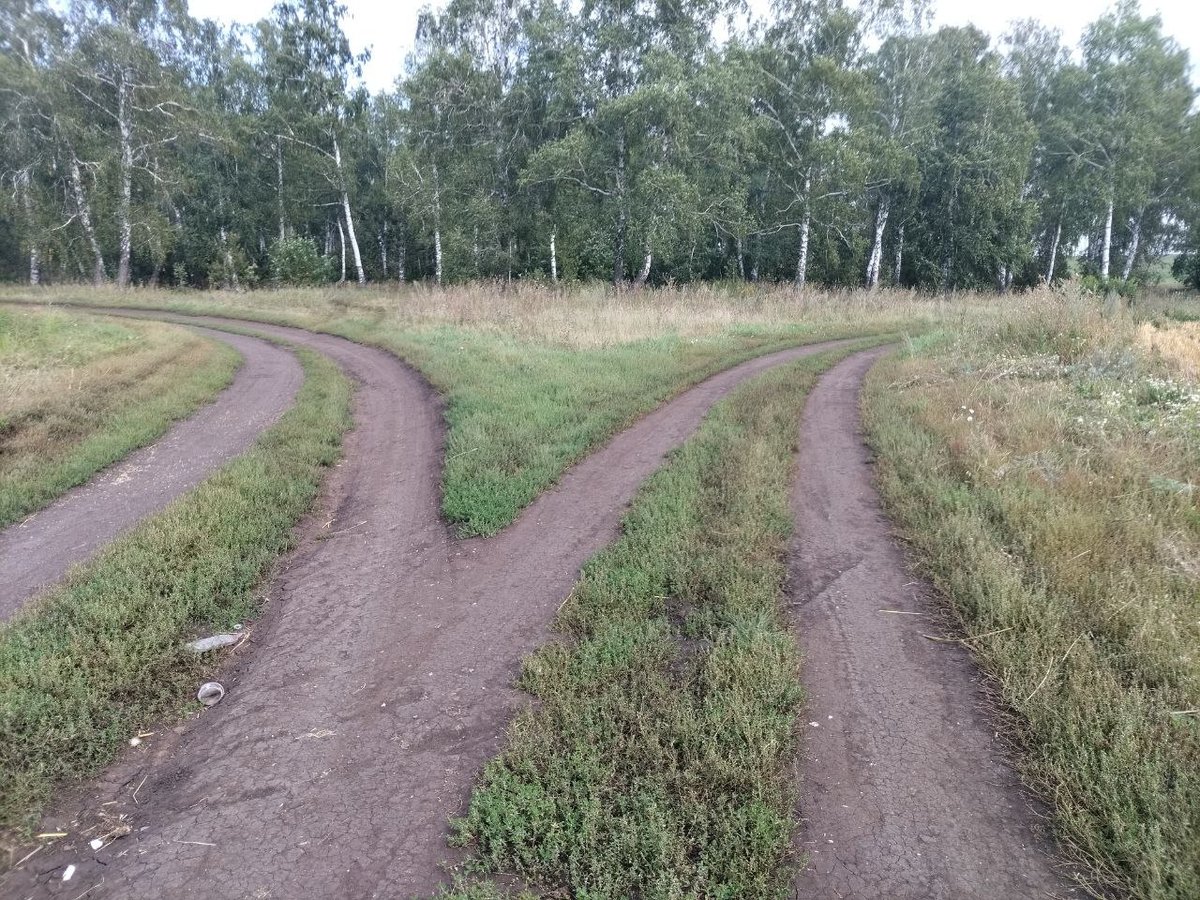 Фото автора.