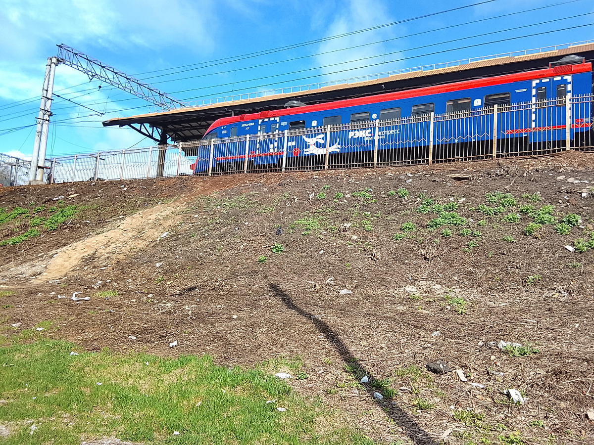 Синенький, он же - РЭКС, со стороны Раменского следует как-то вот вообще не по своему пути (а там, где едут "укаждостолбные" рейсы) в сторону ст. Москва-Пассажирская-Казанская. 