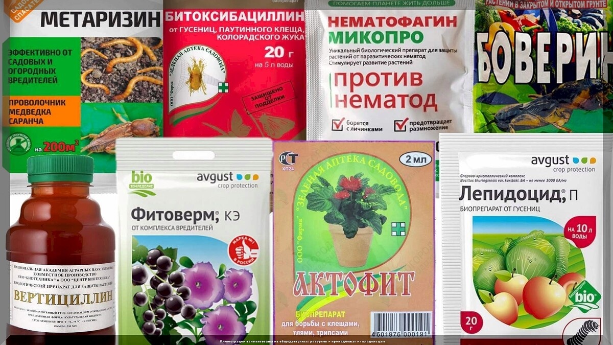 Биопрепараты от вредителей