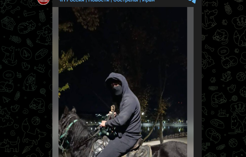 "Это наша земля!": в Кисловодске мигранты на лошадях устроили с плетками охоту на пенсионеров