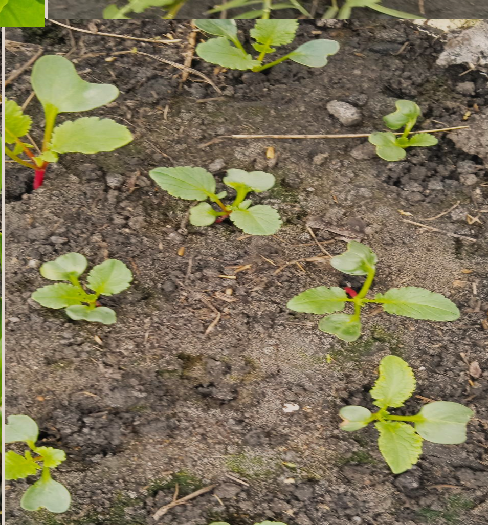 Еще немного подождать