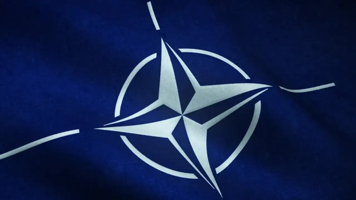     © ru.freepik.com/wirestock