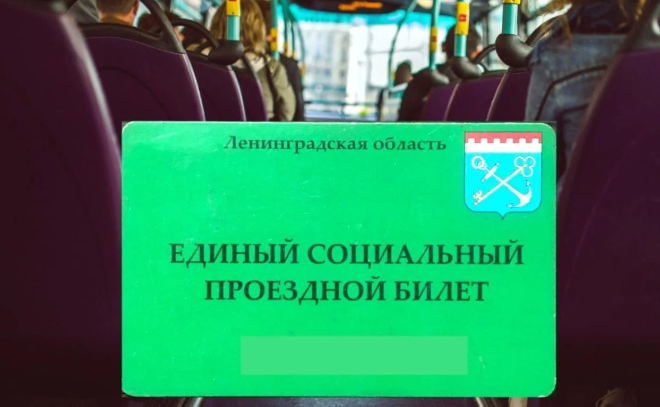    © https://transport.lenobl.ru/ru/programm/news/93098/