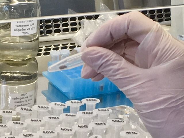    Фото: управление Роспотребнадзора по Нижегородской области Иван Воробьев