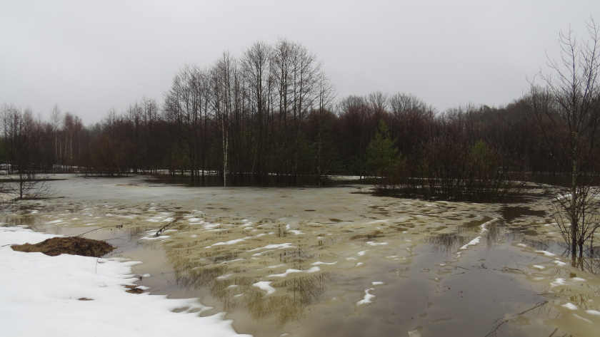   "Заповедник Большая Кокшага"