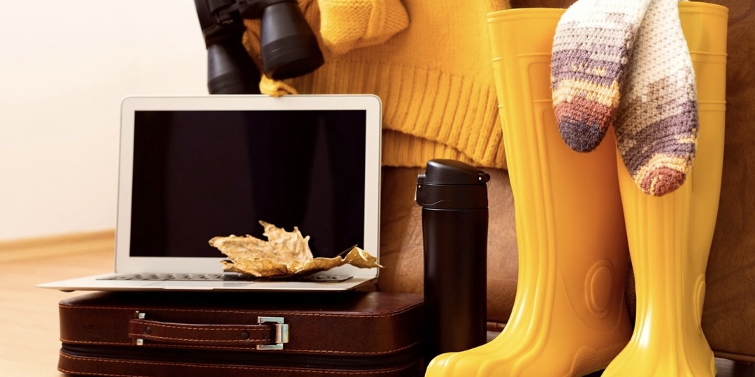 6 лучших гаджетов для дачников