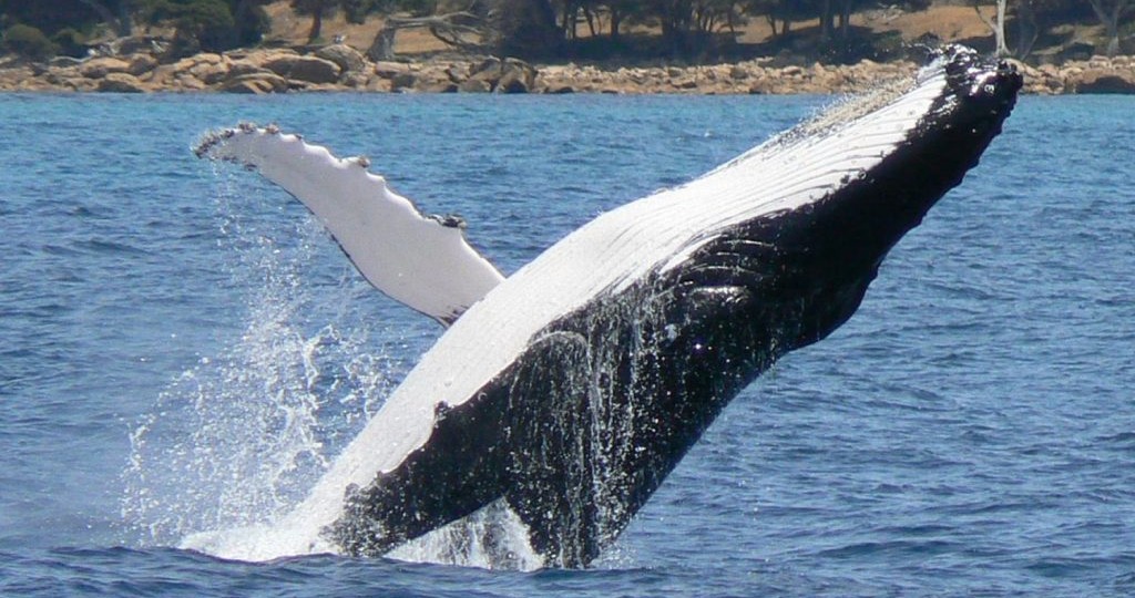 Не все потеряно!