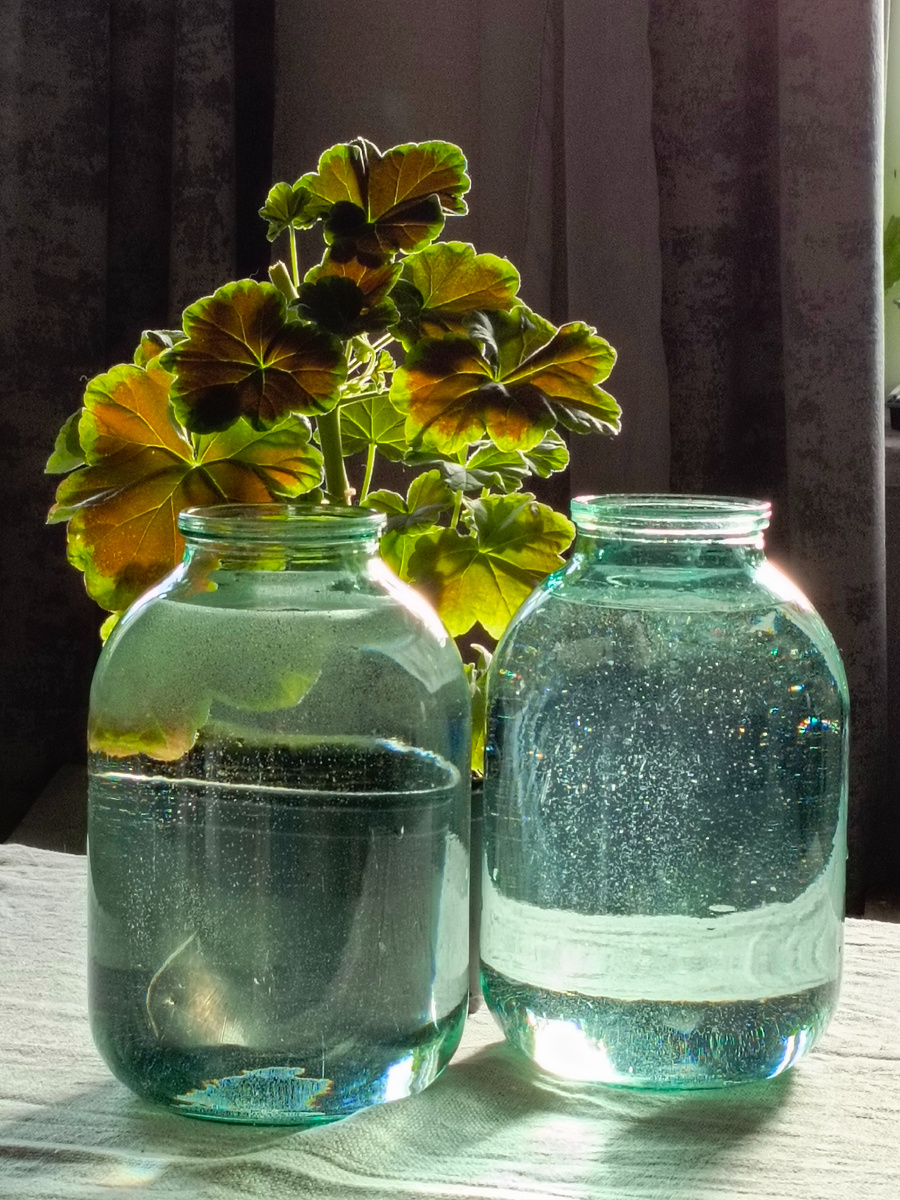 Вода с кометы 3I/ATLAS, когда она пересекала созвездие Скорпиона, собранная в полнолуние (шутка). Это отстоянная вода, которой я поливаю рассаду.