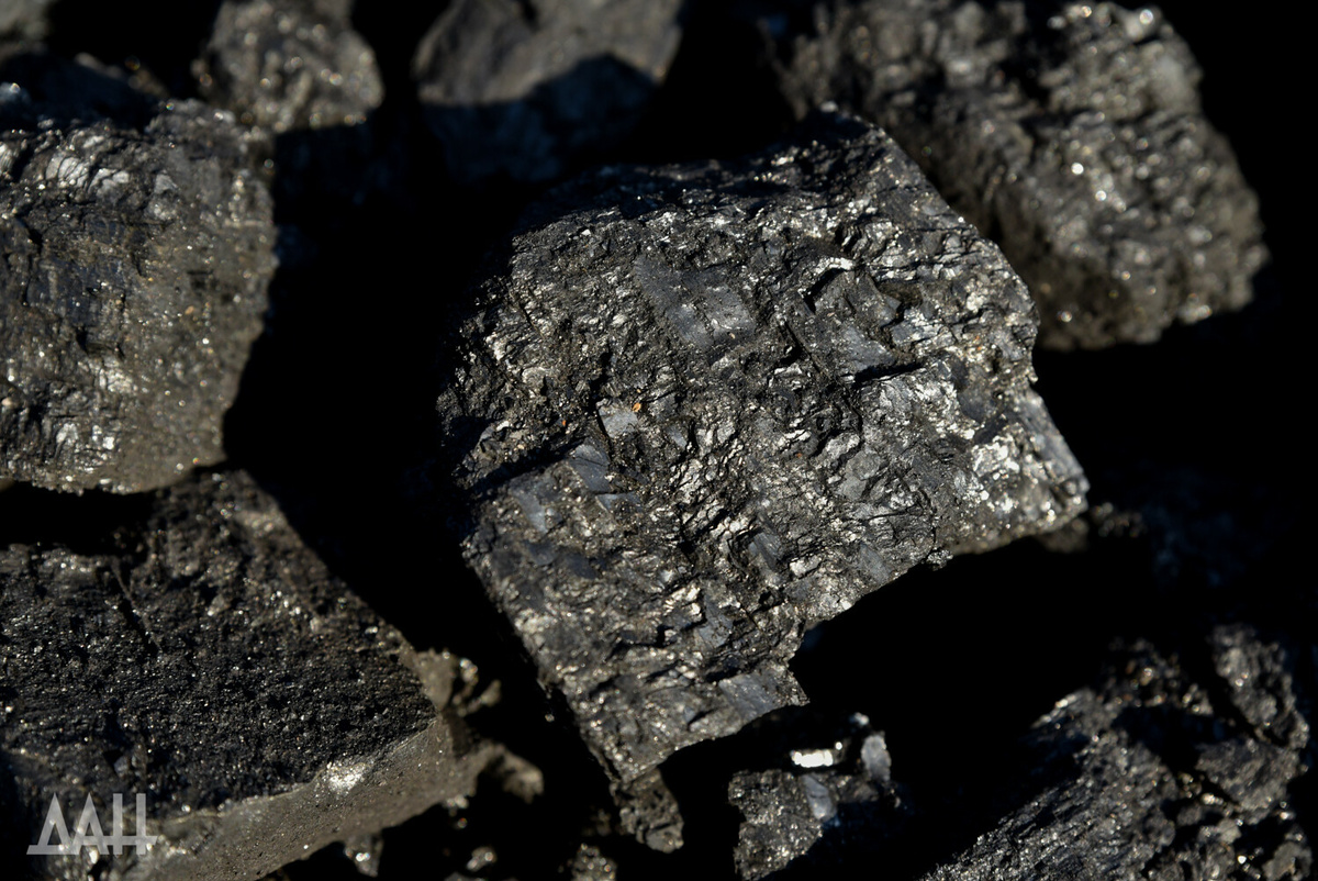    Фото: Донецкое Агентство Новостей